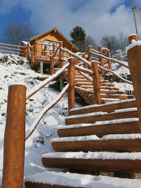 Cottage Goyra Yaremche Dış mekan fotoğraf